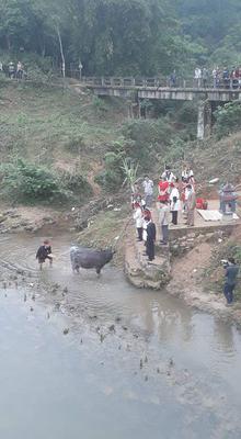 Lễ hội đền Chín Gian, xã Châu Kim, huyện Quế Phong