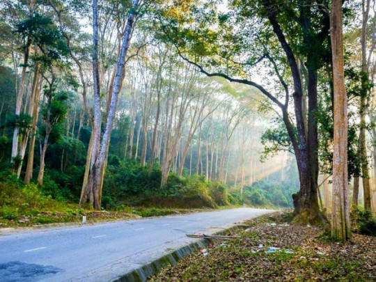 Khảo sát tuyến Du lịch Miền Trà Lân xứ Nghệ