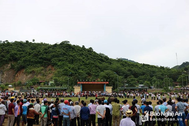 Người Mông vui hội chọi bò trong ngày Tết Độc lập