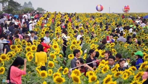 Ân tình xứ Nghệ