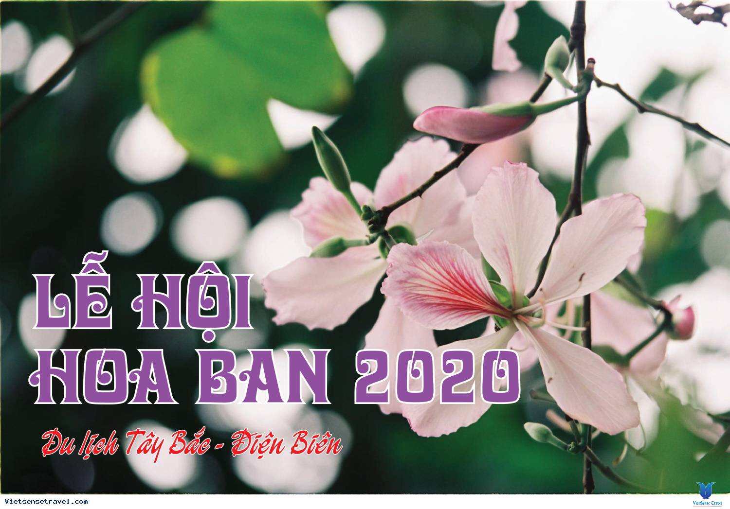 Điện Biên tổ chức Lễ hội Hoa ban năm 2021 và Ngày hội Văn hóa, Thể thao, Du lịch Điện Biên lần thứ VII
