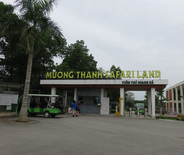 Hướng dẫn đi du lịch Mường Thanh Safari Land Nghệ An: Kinh nghiêm đi chơi, tham quan, ăn uống ở khu du lịch Mường Thanh Diễn Châu