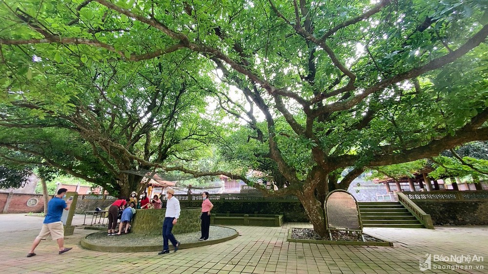 40 công ty lữ hành tham gia Famtrip khám phá Nghệ An