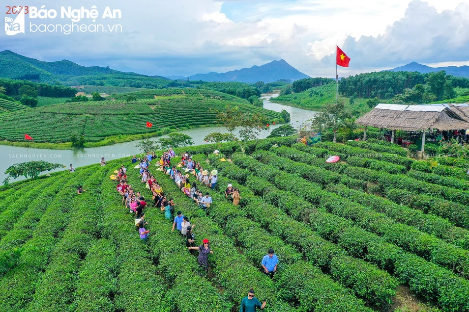 Nghệ An đón hơn 40 đơn vị từ 15 tỉnh, thành đến khảo sát du lịch